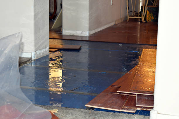 Professional Water Damage Restoration technician working in Ely, MN
